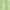 Lime Twist Open Ditsy, variant on Secret Treasures Women’s Sleepwear Short Knit Chemise, Sizes XS-3X