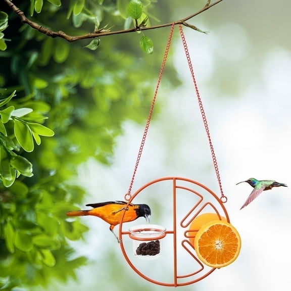 Triani Oriole Wild Bird Feeder, Orange Clementine Design, Steel Bird Feeder with Landing Perches, 2 in 1 Bird Feeder, Orange Fruit Stick Feeder & Glass Nectar/Jelly Container