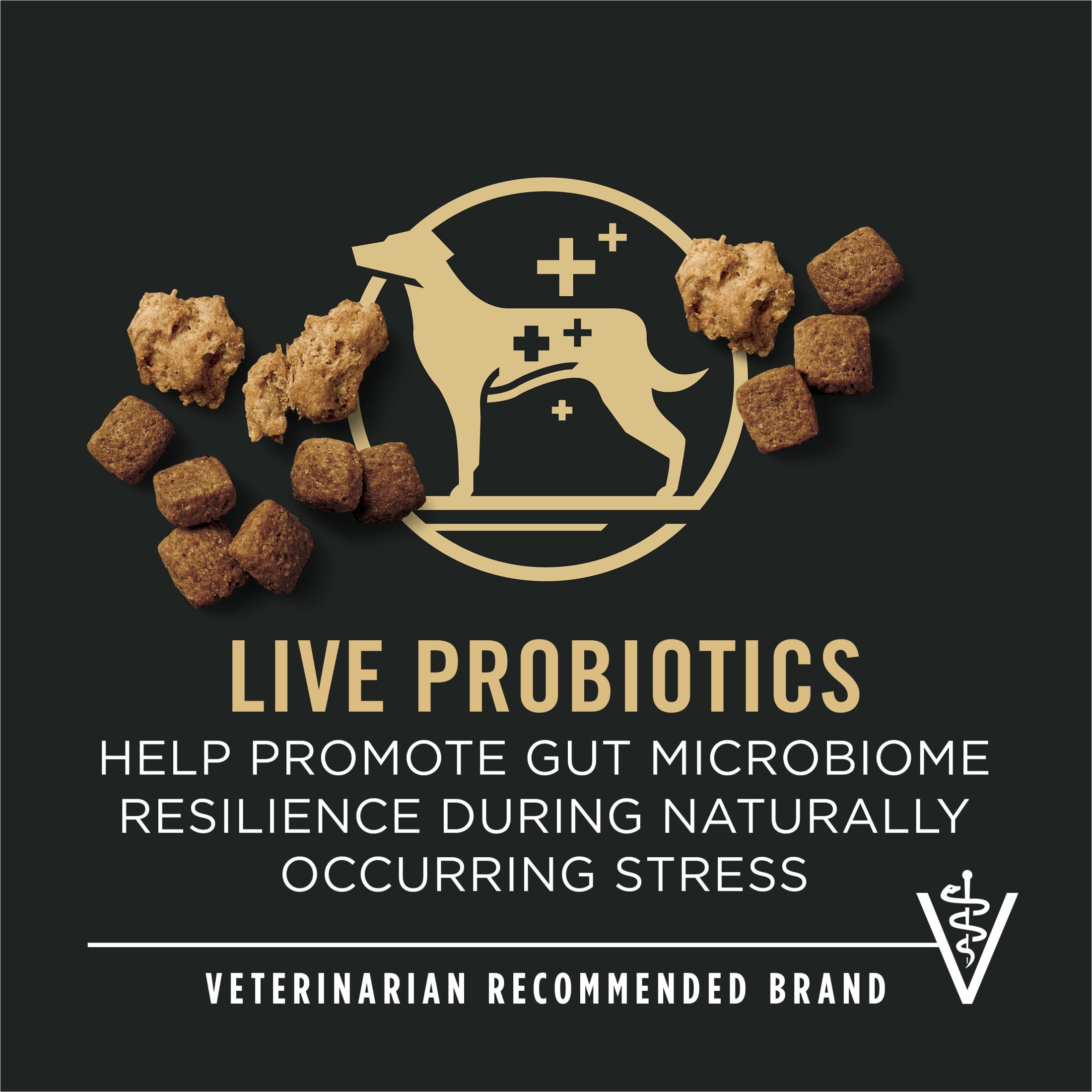 Purina Pro Plan Senior Dog Food With Probiotics for Dogs, Shredded Blend Chicken & Rice Formula, 6 lb. Bag