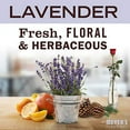 thumbnail image 3 of Mrs. Meyer's Liquid Laundry Detergent, Biodegradable Formula Infused with Essential Oils, Lavender, 64 oz (64 Loads), 3 of 3