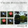 Serenity Series: Tai Chi Reflections