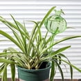 thumbnail image 3 of Selrti Self Watering Bulb Cactus Design Planter Insert Automatic Watering Device Plant Watering Globes for Houseplants Vacation Watering, 3 of 8