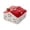 Red, variant on FSAGAE Ceramic Incense Coil Holder with Ash Catcher Mosquito Repellent Stand for Home Yellow
