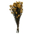 thumbnail image 1 of Vickerman H1RCF725 16-23 in. Aspen Gold Rice Flower with 4-5 oz Bundle, 1 of 1