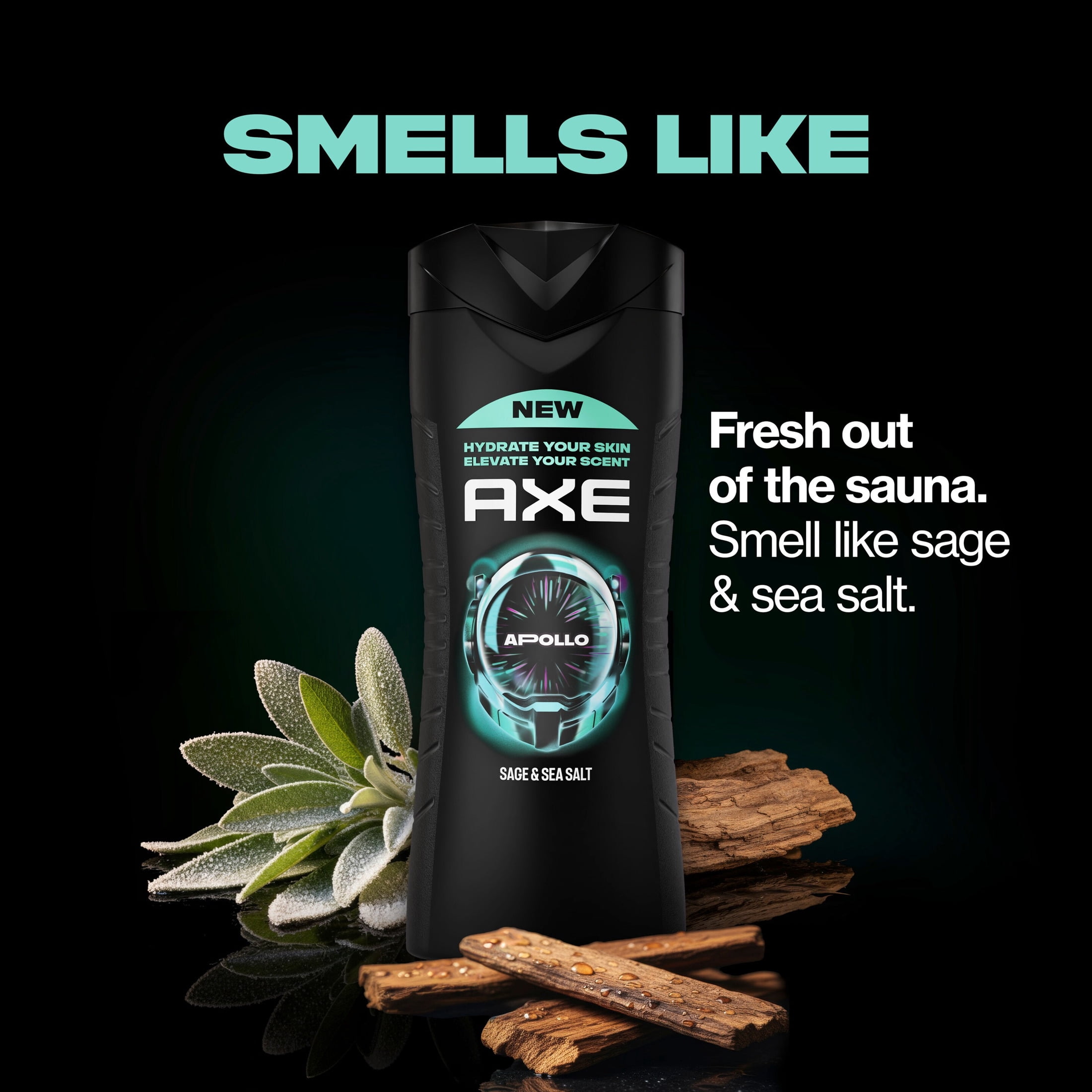 AXE Body Wash Moisturizing Apollo Paraben-Free & Sulfate-Free, 16 fl oz Twin