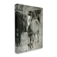 thumbnail image 3 of Vintage Foal Horse Farmland Animals & Insects Graphic Art Gallery Wrapped Canvas Print Wall Art, 3 of 7