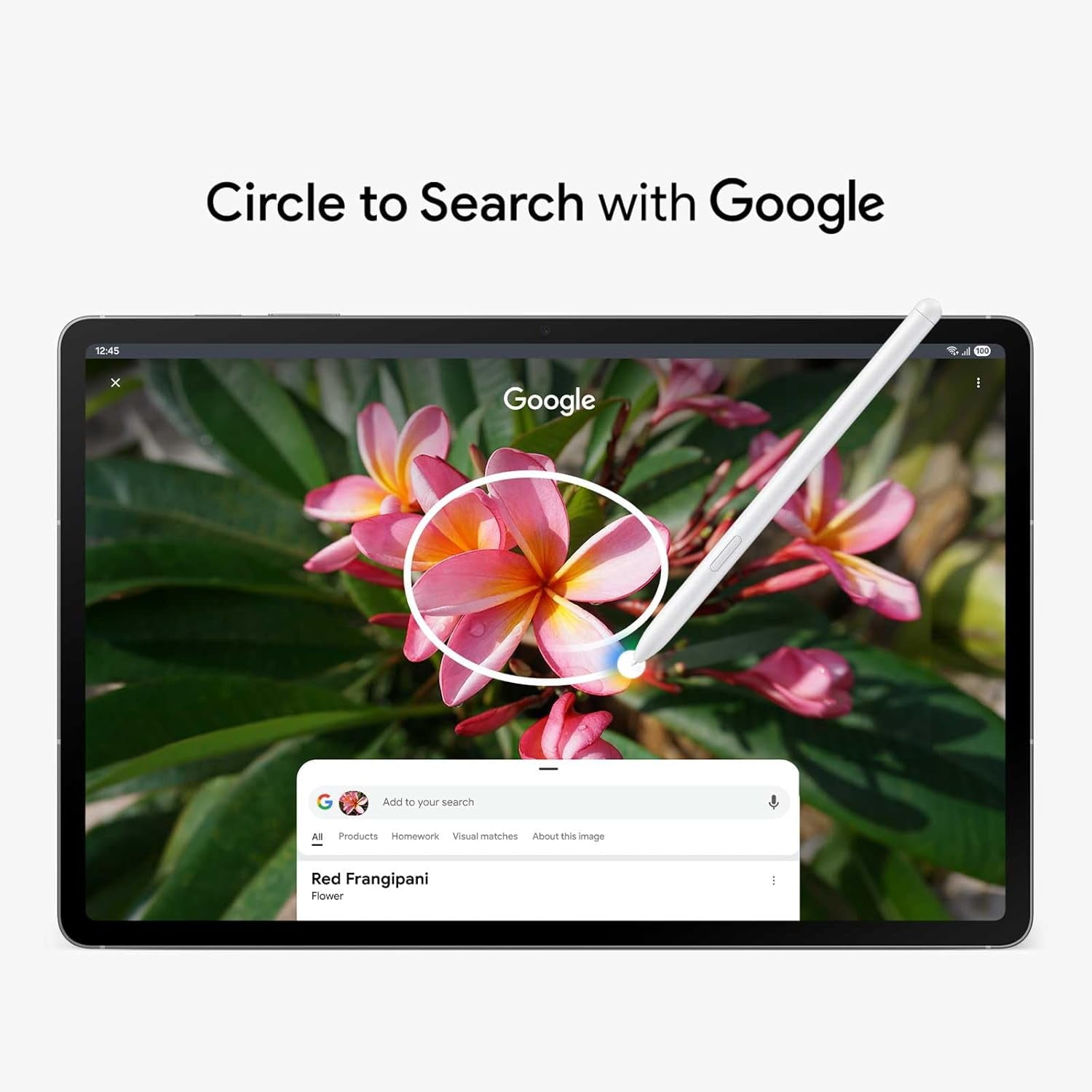 Samsung Galaxy Tab S10 FE+ Plus 128GB 13.1" Screen with S Pen | Brand New International Version Android Tablet (X620)