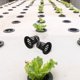 thumbnail image 4 of Cesta de verduras hidropónica (50 unidades), vasos de malla para cultivo hidropónico, red de plástico para macetas de jardín., 4 of 6