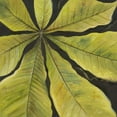 thumbnail image 2 of Pinto, Patricia 26x26 Gold Ornate Wood Framed with Double Matting Museum Art Print Titled - Evergreen II, 2 of 4
