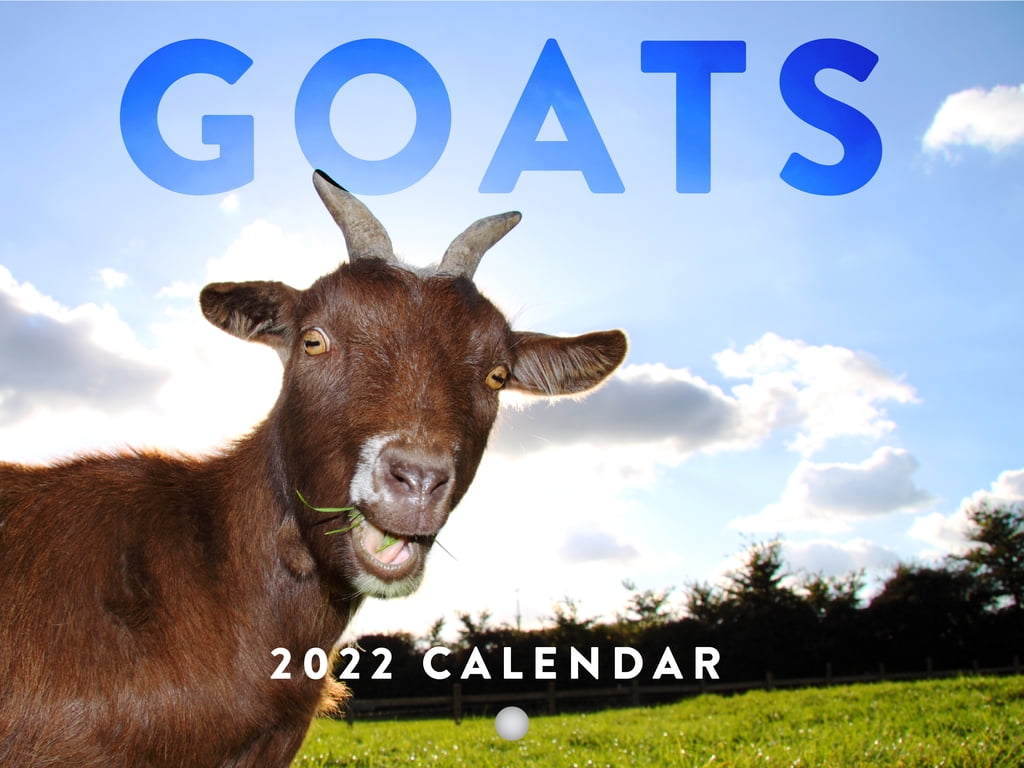 Goats 2022 Wall Calendar Farm Animals Cute Country Farmer Funny Farmhouse Goats Calendar Large 18 Month Calendar Monthly Full Color Thick Paper Pages Folded Ready To Hang Planner Agenda 18x12 inch