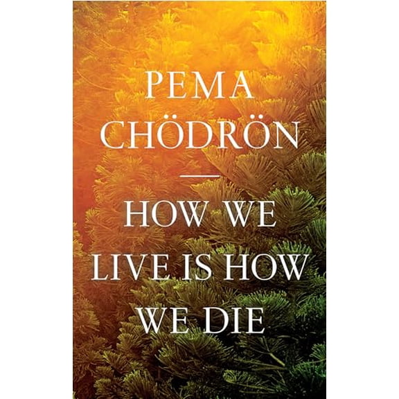 Pre-Owned How We Live Is How We Die, 9781611809244, 161180924X, Hardcover,