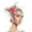 E, variant on Tea Hats For Women Tea Party High Tea Hat Flower Fascinators For Women Fascinators Hats For Women Veil Fascinators Hats For Women Garden Party Hats Fascinator Headbands For Women Fancy Hats