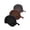 Black Charcoal Dark Brown, variant on men's basic baseball cap velcro adjustable curved visor hat