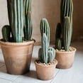 thumbnail image 5 of Artificial Cactus in Brown Pot, 5 of 11
