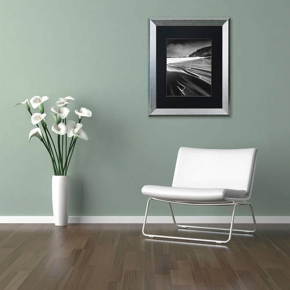 Trademark Fine Art "Veins of the Sea" Canvas Art by Mathieu Rivrin, Black Matte, Silver Frame