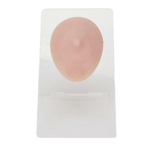 Soft Silicone Single Nipple Model 3D Elastic Simulation Reusable Display Props Body Piercing Model with Acrylic Holder Medium Skin Tone