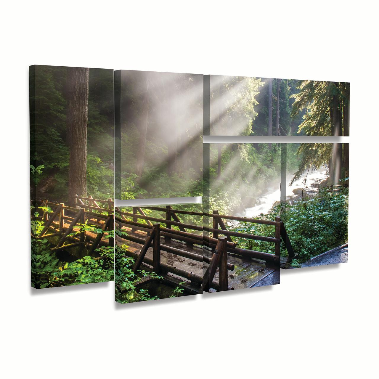 Trademark Fine Art 'Forest Sunlight' Canvas Art by Pierre Leclerc