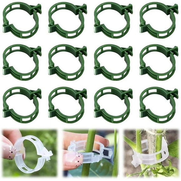 100pcs for climbing plants outdoor indoor plants flower vine fixed support clip tomato trellis clip green