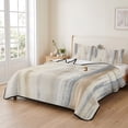 thumbnail image 2 of Twin Quilt Set 68''x86'', Beige Grey Lightweight Summer Bedspread Coverlet Set with 2 Pillow Shams, Abstract Mottled Art Retro Modern Painting Breathable All Season Quilt Bedding for Dorm/Bedroom, 2 of 9