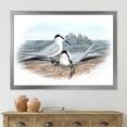 thumbnail image 3 of Designart 'Ancient Birds In The Wild IX' Traditional Framed Art Print, 3 of 4