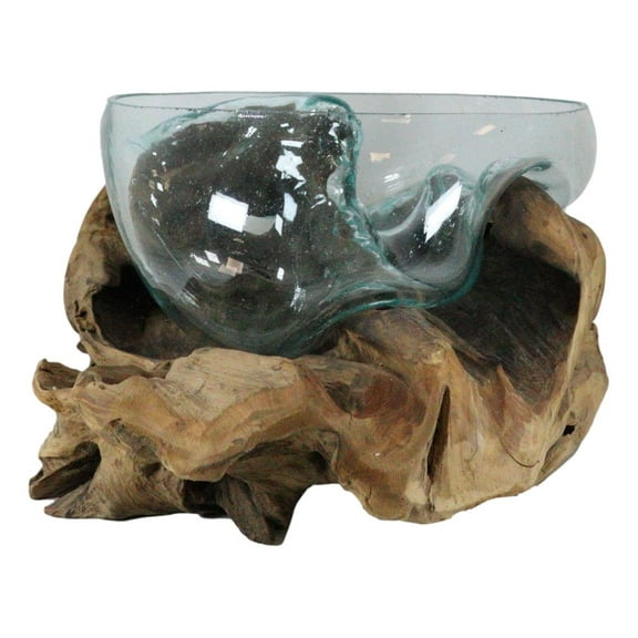 Balinese Handicraft Natural Driftwood With Large Glass Fruit Succulents Bowl