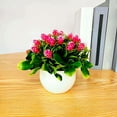 thumbnail image 3 of Artificial Plants Simulated Plant Potted Fake Flowerpot, Table Centerpiece for Dining Room, Kitchen & Office Decor, Realistic Fake Plant Display D, 3 of 4
