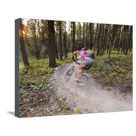 Courtney Feldt Mountain Bikes on Singletrack of the Whitefish Trail Near Whitefish, Montana, Usa Stretched Canvas Print Wall Art By Chuck
