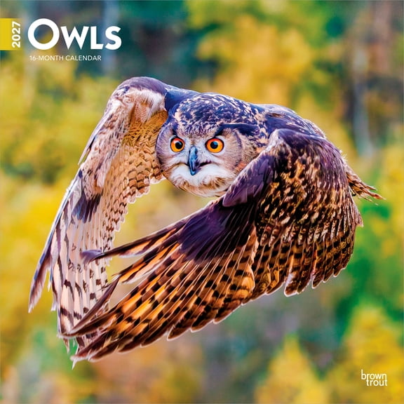 Owls | 2027 12x24" (Hanging) Wall Calendar | Plastic-Free | BrownTrout