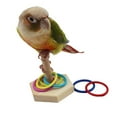 thumbnail image 4 of QBLEEV Bird Toys, Bird Trick Tabletop Toys, Training Basketball Stacking Color Ring Toys Sets, Parrot Chew Ball Foraing Toys, Education Play Gym Playground Activity Cage Foot Toys, 4 of 4