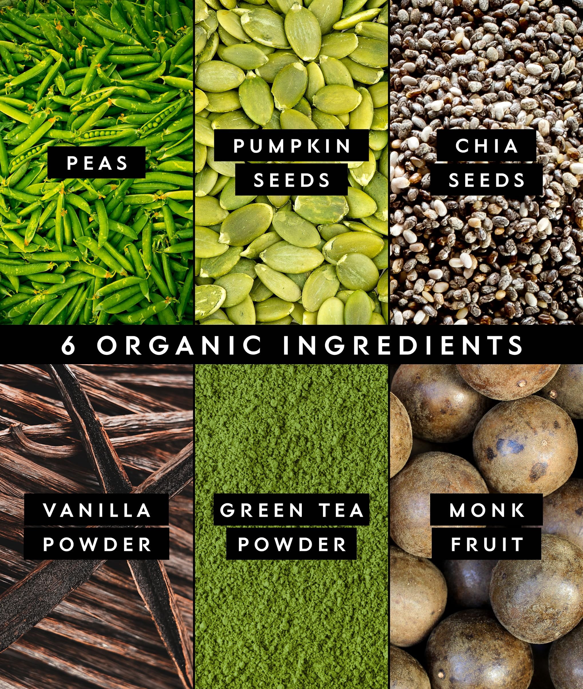 Truvani Vegan Plant Based Pea Protein Powder | Organic | Matcha | 20 Servings | Gluten & Dairy Free
