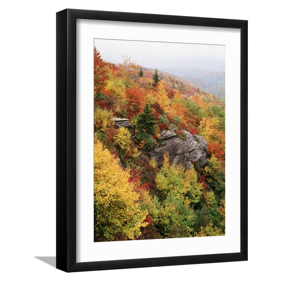 Art.com View of Autumnal Rocks, Blue Ridge Parkway, North Carolina, USA Photographic Print by Adam Jones, Black Frame Wall Art, 17" x 21"