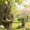 1 x Tree Elves Bird Feeder_02, variant on Bigfoot Bird Feeder Outdoor Waterproof Resin Garden Statue With Hidden Keyhole Hanger Tree Wall Mounted Fun Wildlife Decor Perfect Gift For Birdwatchers And Bigfoot Fans