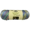 Caron Simply Soft Tapestry Yarn, 1 Each