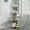 White, variant on Corner Shower Caddy Standing - 3-Tier Stainless Steel Shower Organizer with Soap Holder and 4 Hooks, Large Capacity Corner Shelf Stand for Bathroom, Rest Room