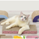 thumbnail image 3 of Gato rascador de cartón para sofá cama, tablero rascador para gatos, sacapuntas de garras de cartón corrugado con forma de hueso grande   JM, 3 of 5