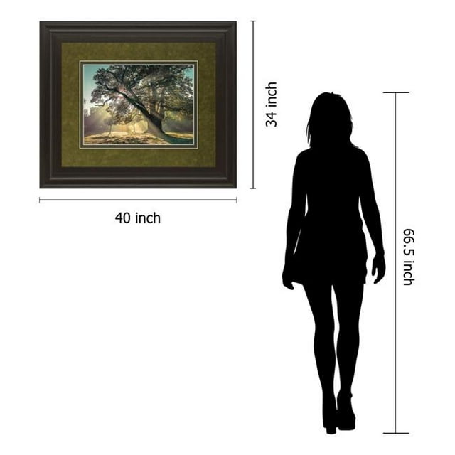 Classy Art DM5440 34 x 40 Po Percée par un. Frank Framed Wall Art