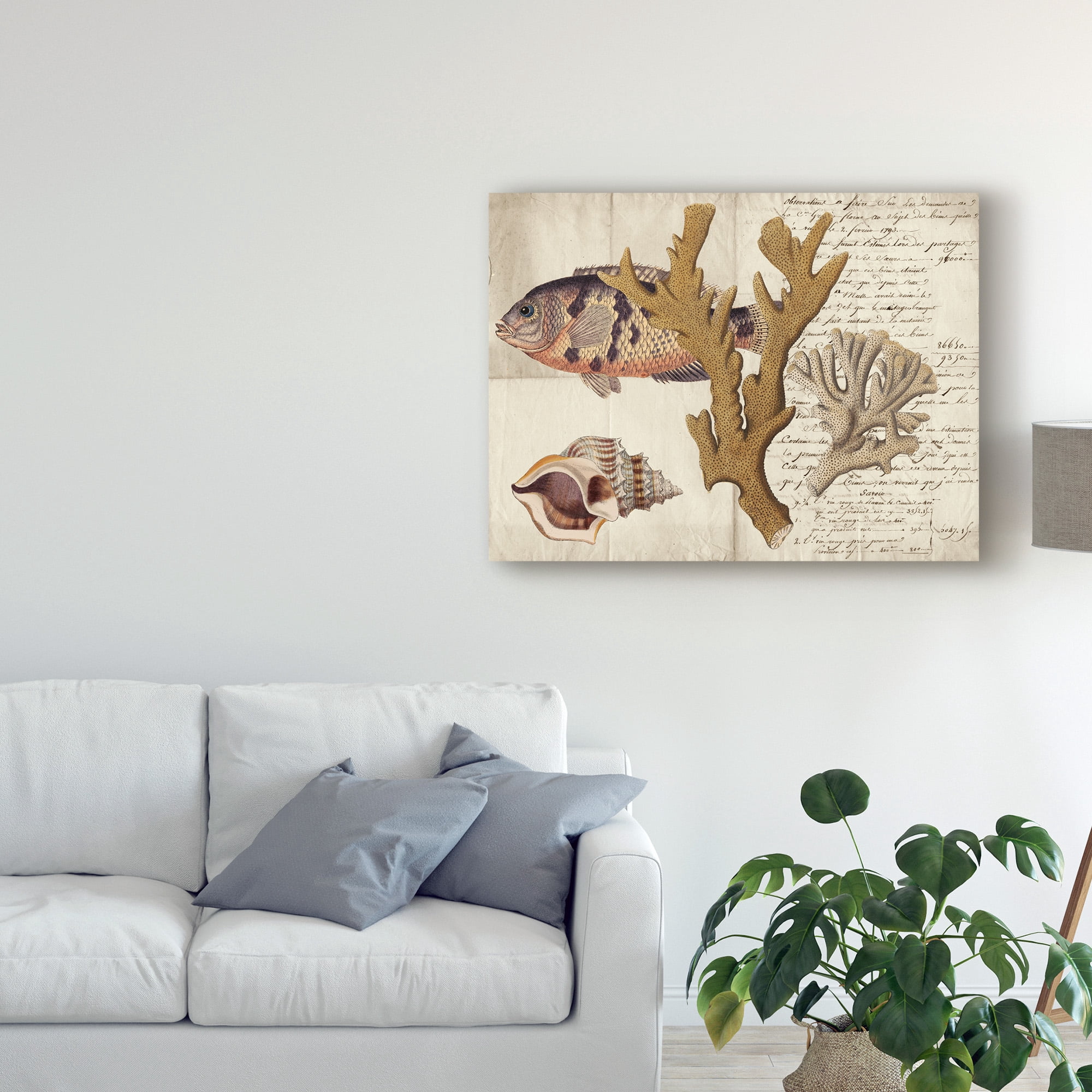 Trademark Fine Art 'Sea life Journal I' Canvas Art by Vision Studio