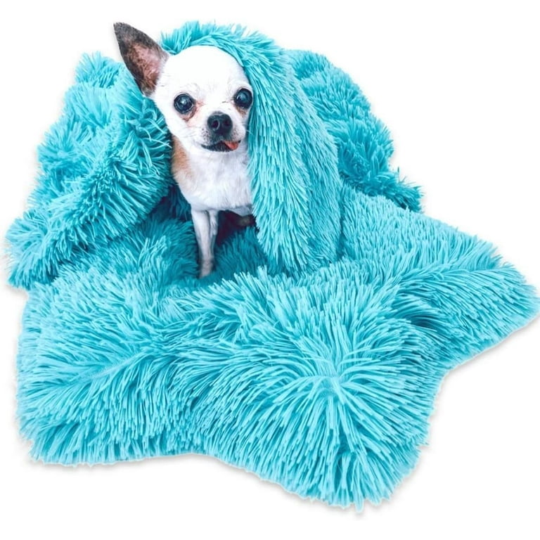 Dog swaddle for anxiety cheap