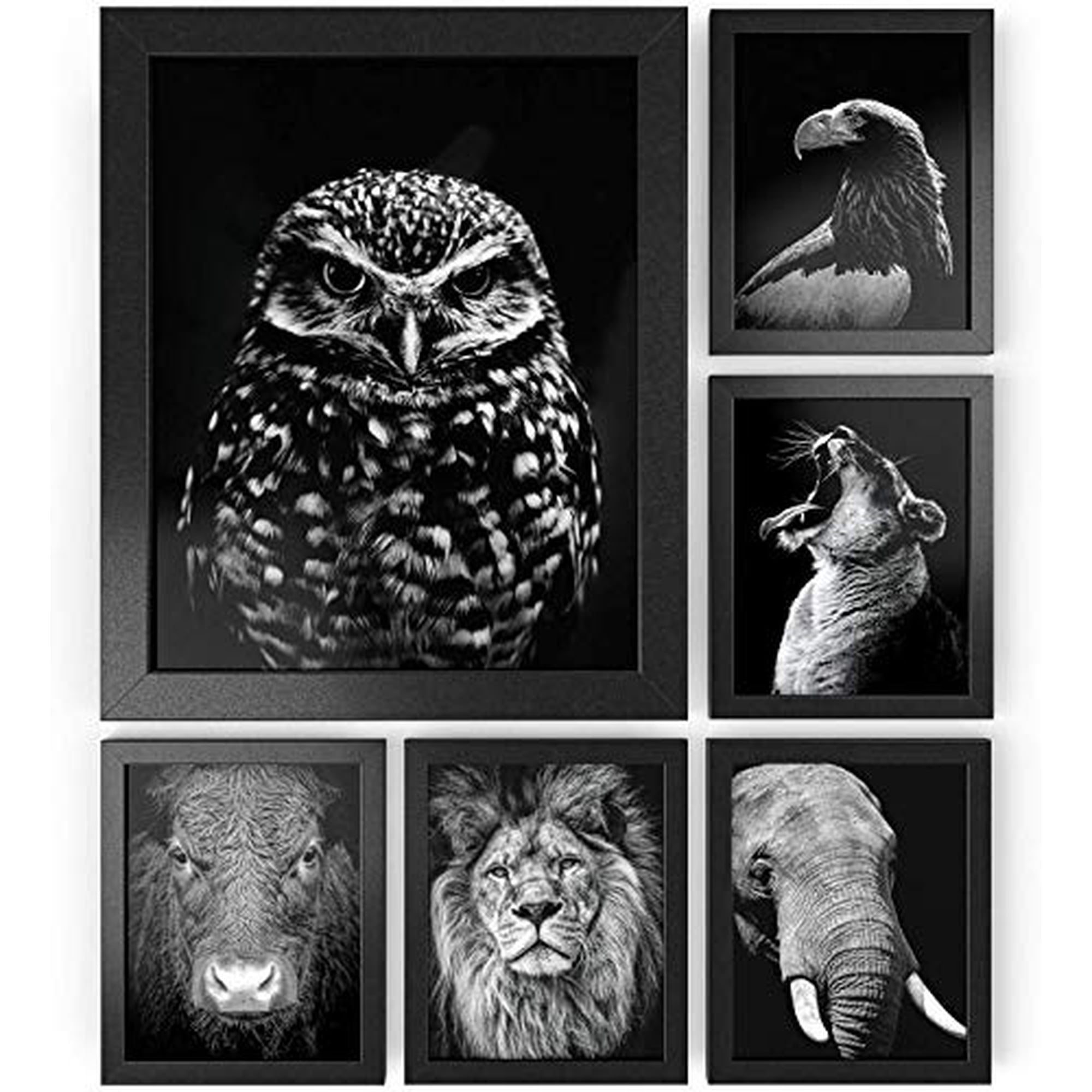 ARTEZA Picture Frames 8 x 10 Display Pictures 6 Pack - Wood Finish Frame - Pure Glass Front - Pictures Frames for Wall - Gallery Wall