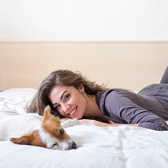 ienjoy Home IEH Black 3 Piece Home Collection Premium Luxury Double Brushed Duvet Cover Set, Twin XL