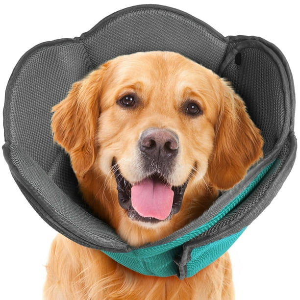 Dog cone comfy online