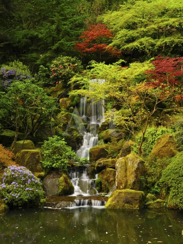 Spring, Portland Japanese Garden, Portland, Oregon, USA, Scenic World