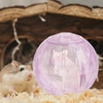 thumbnail image 4 of Suministros para hámster, pelota para correr, juguete para hámster, juguetes deportivos, erizo, fitness, plástico, 8 piezas, 4 of 6
