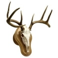 thumbnail image 2 of Walnut Hollow Country Deluxe Multi Species Euro Skull Mount Kit in Solid Oak, 2 of 4