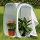 thumbnail image 3 of Kit de jardín para mariposas y hábitat de insectos, jaula grande para mariposas, red plegable para mariposas monarca, casa para mariposas para niños, 40 x 40 x 60 cm, 3 of 5