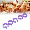 thumbnail image 4 of Chicken Foot Ring, Writing Marker Easy To Clean Poultry Foot Ring Easy Identification  For Farm Purple 18mm/0.71in, 4 of 8
