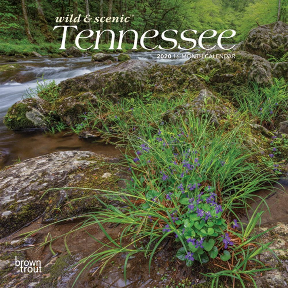 Tennessee Wild & Scenic 2020 7 x 7 Inch Monthly Mini Wall Calendar, USA