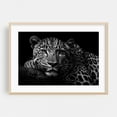 thumbnail image 2 of Portrait of a Leopard 01 - Photography Wildlife Black and White Animal Nature Portrait Unframed Wall Art Print 16 x 24 inches, 2 of 7