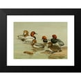 thumbnail image 2 of Allan Brooks 14x11 Black Modern Framed Museum Art Print Titled - Common Pochard (1922-1926), 2 of 5
