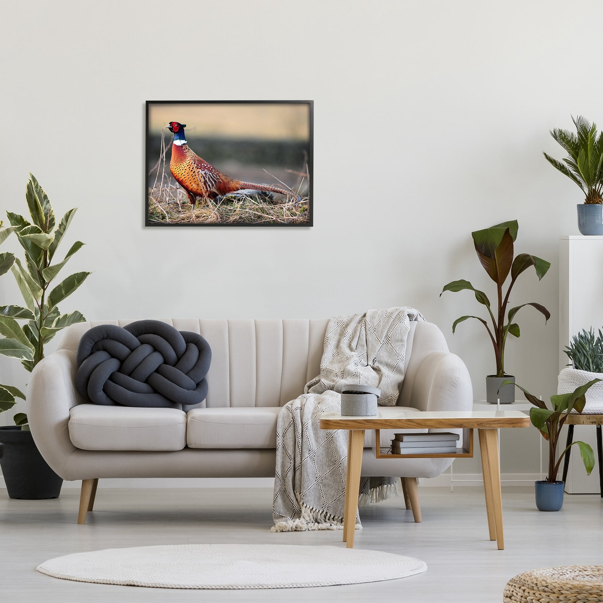 Stupell Industries Lone Pheasant Bird Grassy Forest Floor Wildlife Photograph Black Framed Art Print Wall Art, Design by James Dobson